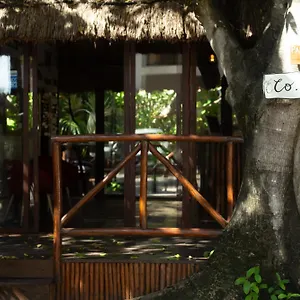  Hotel Eco Banitas